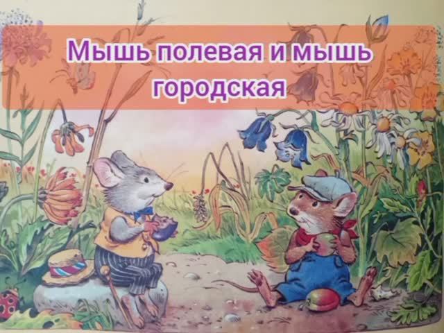 ДЕТСКАЯ СКАЗКА ПРО МЫШЬ ГОРОДСКУЮ И МЫШЬ ПОЛЕВУЮ. ЧИТАЕМ ПЕРЕД СНОМ смотреть онлайн