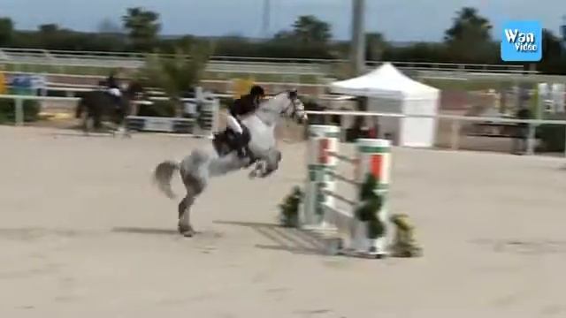 Turquoise Cagnes CSI2 GP 1m45 05 04 15 смотреть онлайн