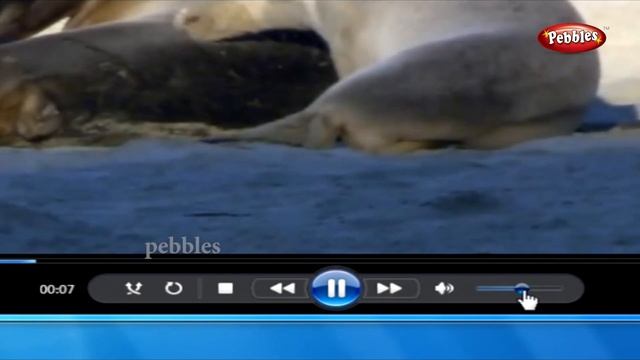 Windows Image Viewer || Learn Windows 7 in Tamil || Tutorial смотреть онлайн