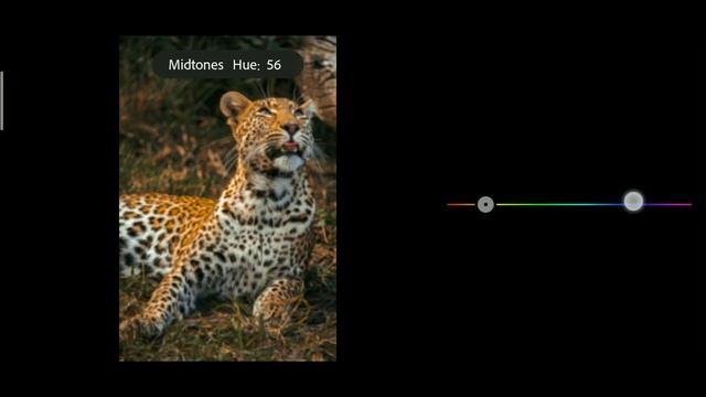 Lightroom Mobile Preset Free DNG | Wildlife Photography Preset | Lightroom Tutorial смотреть онлайн
