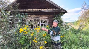 Любовь и голуби в тайге