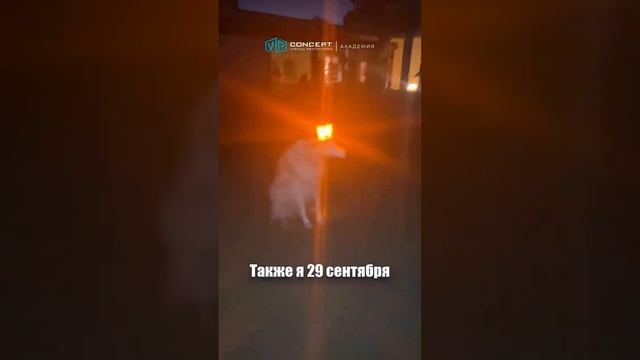 Осталось 2 дня до конца Заявочной компании Акселератора! Регистрируйся по ссылке в шапке профиля! смотреть онлайн