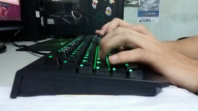 Razer BlackWidow Ultimate 2014 (MX Green) Mechanical Keyboard Typing Test Sound
