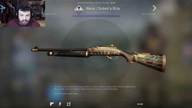 Looking at the NEW Anubis Collection + Opening смотреть онлайн