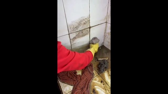 6 Years Without Cleaning Full House Cleaning For Free