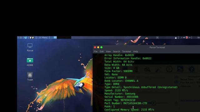how to find ram and cpu information in any type of linux||in parrot os,ubuntu,kali linux,mint etc. смотреть онлайн