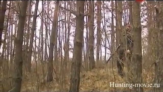 Ягдтерьер Jagdterrier