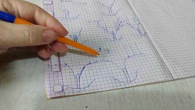 Двуплечая формировка винограда без сучка замещения. смотреть онлайн