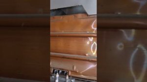 Газовая колонка Neva 4513