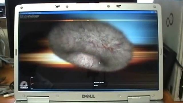 FurMark on Dell XPS M1710 смотреть онлайн