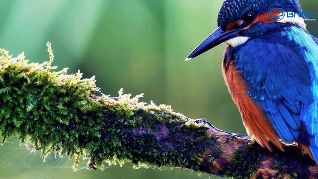 How To Prevent Access To Drives In My Computer In Windows смотреть онлайн