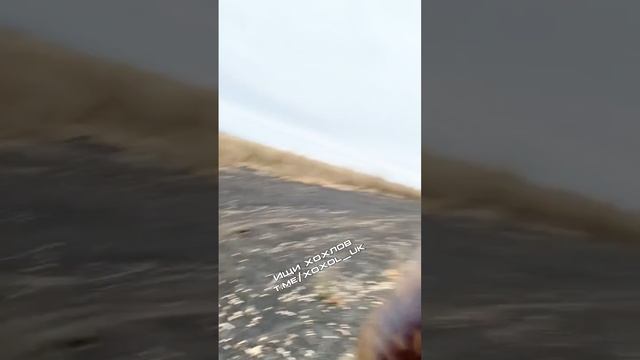 ⚡️СВО 18+ Дохлая тушка🐷 и евакуація полудохлого фашиста. смотреть онлайн