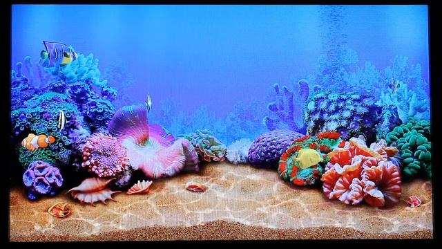 Google TV Aquarium - Aquatica 3D Screensaver смотреть онлайн