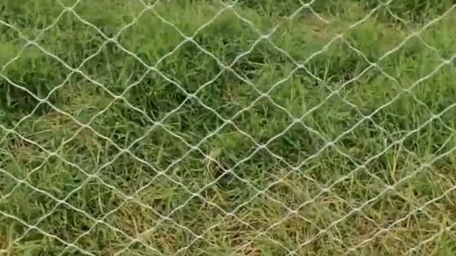 Goat farming for 10 years, creating a new farming model,annual earning of 30 Crore смотреть онлайн