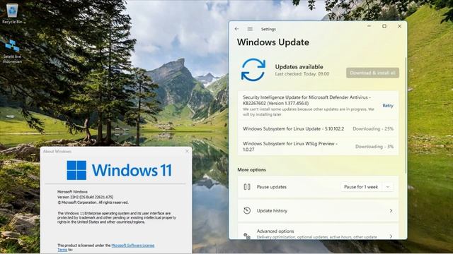 2022-10 Cumulative Update for Windows 11 Version 22H2 for x64-based Systems (KB5019509) смотреть онлайн
