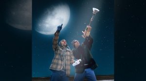 Шишки на снегу