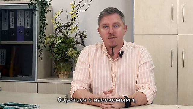 Какие тайны хранят подъезды домов... Кто и зачем подбрасывает в них тараканов и клопов