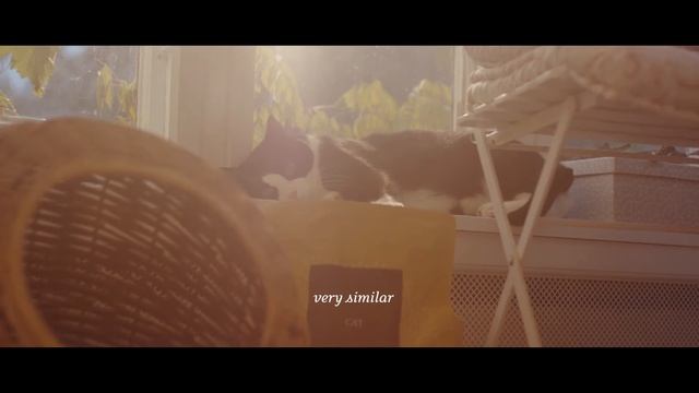 ESSENTIAL the JAGUAR смотреть онлайн