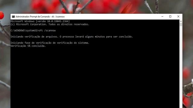 Como resolver erro 5 Acesso negado - Windows 11 смотреть онлайн