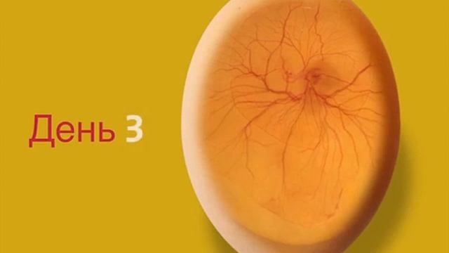 Инкубация часть 5 смотреть онлайн