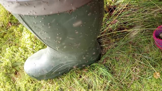 Количество мошек Midges on boots смотреть онлайн