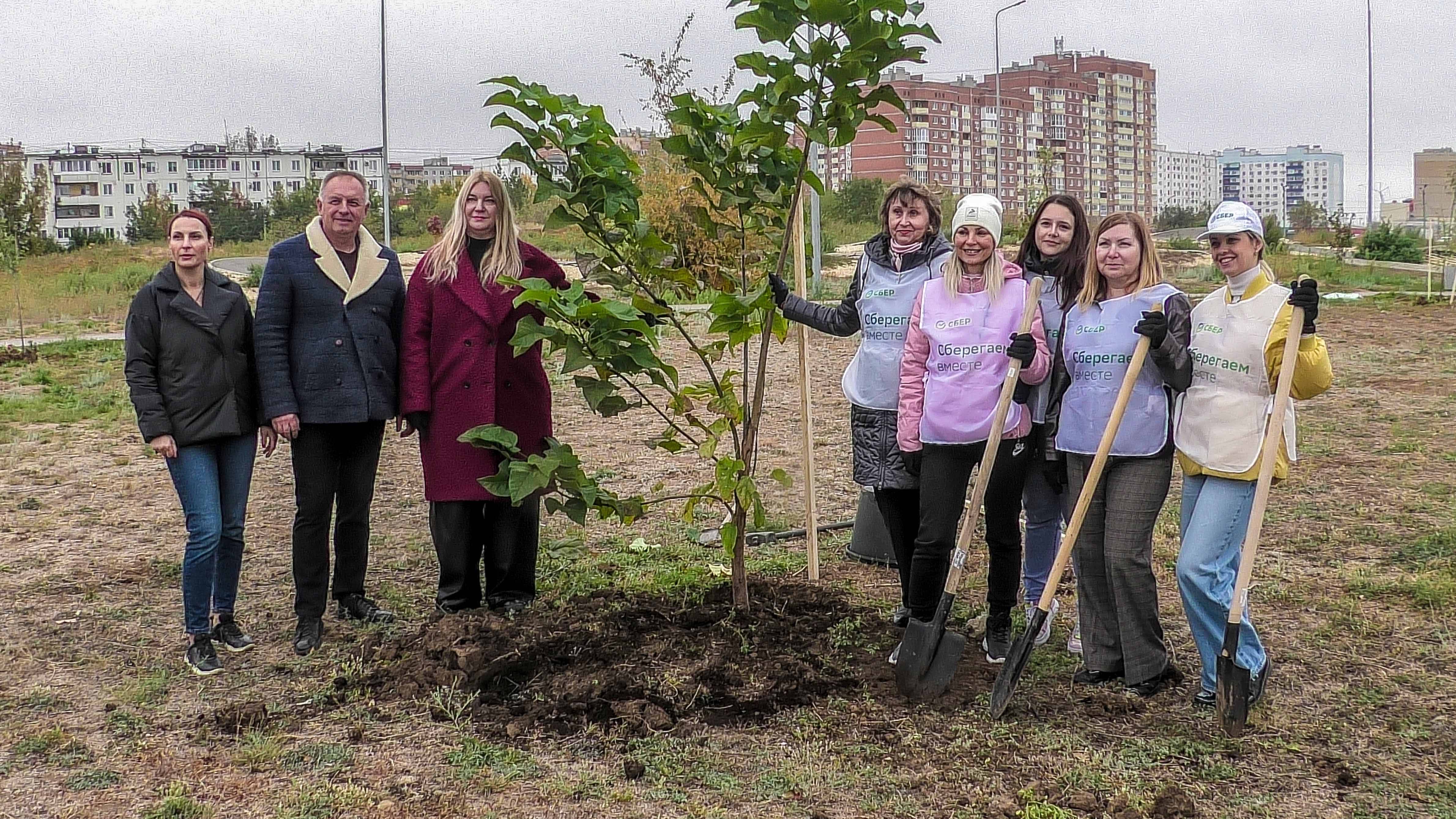 В парке «Солнечный» волжане высадили около 100 деревьев и кустарников смотреть онлайн
