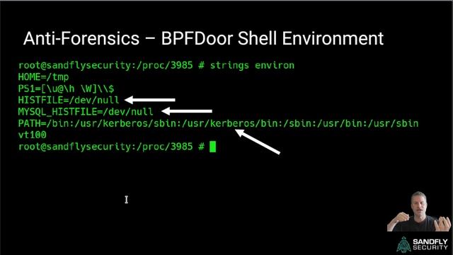 BPFDoor Evasive Linux Backdoor and Malware Forensic Investigation Presentation смотреть онлайн