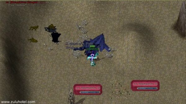 ULTIMA ONLINE // ZULUHOTEL // HUNTING