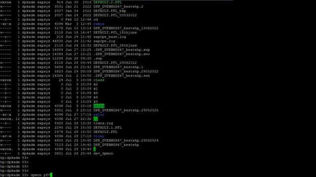 Dialog Work process Monitor From OS Level | SAPBASIS | DPMON | SAP MONITORING @odia_engineer смотреть онлайн
