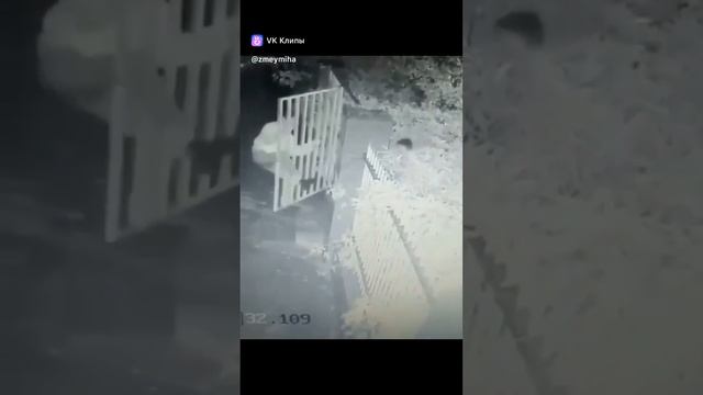 Джентльмены удачи 😂😂😂.mp4 смотреть онлайн