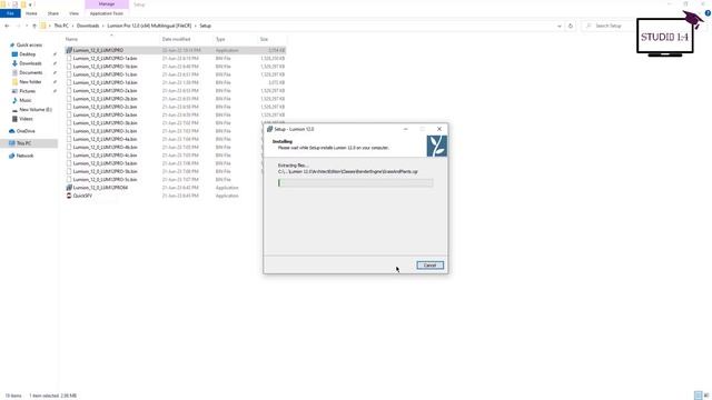 How To Install LUMION 12.5 With Details Video Part 1