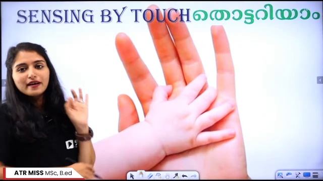 CLASS 5 BASIC SCIENCE | BIOLOGY | Windows of Knowledge Part 3 | അറിവിന്റെ ജാലകങ്ങൾ | EXAM WINNER смотреть онлайн