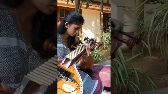 Für Elise with a carnatic twist #veenacover #veena #beethoven смотреть онлайн