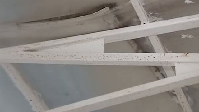 Материалы завезены, рабочие прибыли смотреть онлайн