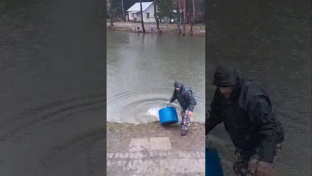 запуск на путевки смотреть онлайн
