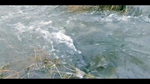 Для души. Весна опять пришла.