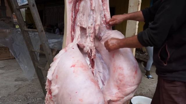 ЗАКОЛ ПОРОСЯ 300КГ - НА ГУЦУЛЬЩИНІ #заколпорося #порося #поросята #pig смотреть онлайн