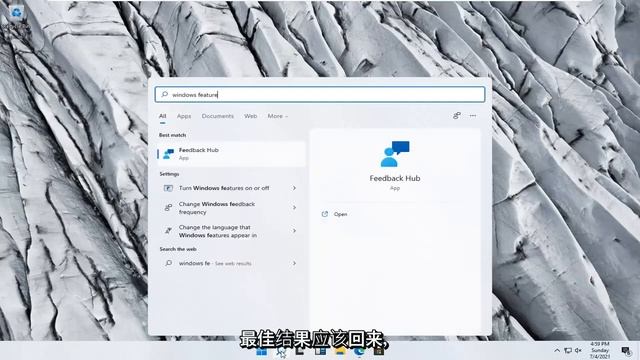 如何在 Windows 11 中安装 .NET Framework 2.0、3.0 和 3.5 [教程] смотреть онлайн
