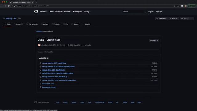 How to Install the Instruqt CLI on a Linux Workstation смотреть онлайн