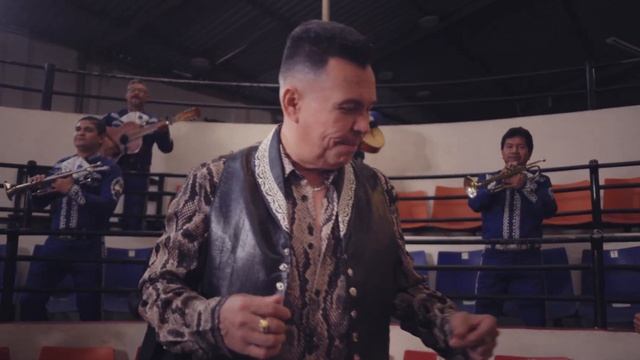 Olider Montana - El Gallero Del Pueblo (Visualizer) смотреть онлайн