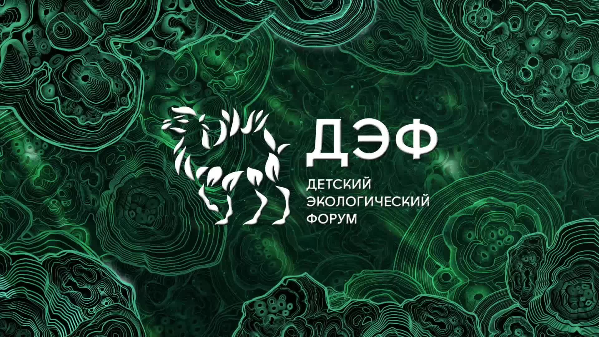 Прямая трансляция ДЭФ