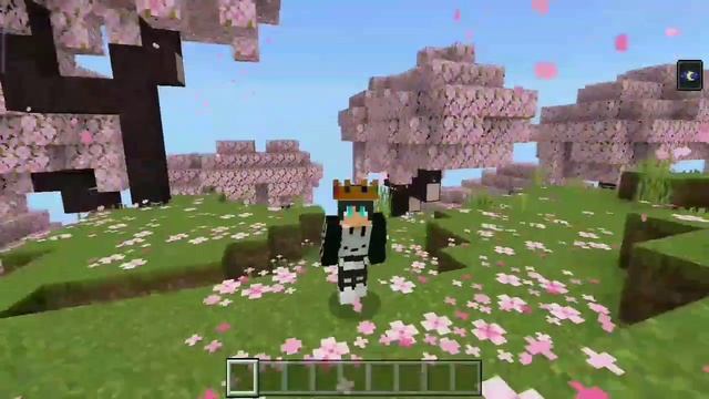 Night Vision Texture Pack MCPE 1.20 💥 | night vision mcpe 1.20 ( Render Dragon ) - 100% Working смотреть онлайн