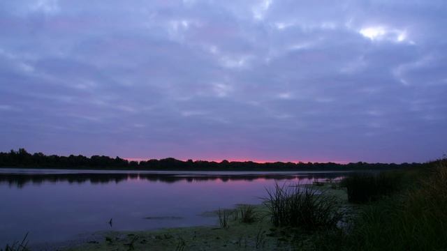 Как Атмосферное давление влияет на рыб