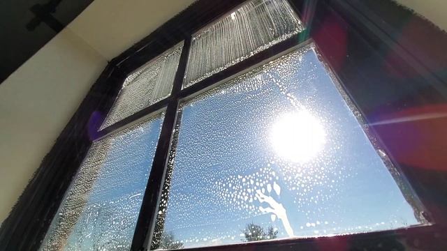 Disgusting Window 🤮 Cleaned in 30 Seconds смотреть онлайн