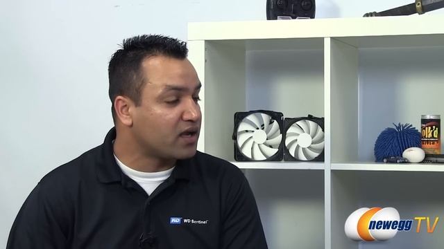 Newegg TV: Western Digital WD Sentinel DX4000 Small Office Storage Server Tutorial смотреть онлайн