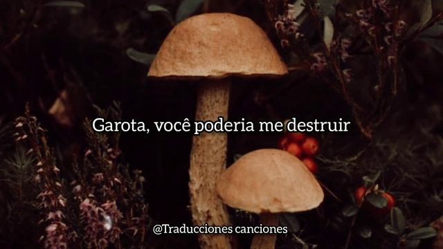 Prettymuch - Open Arms (tradução em português) ✨ смотреть онлайн