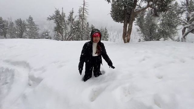 HEAVY SNOW JEEP DRIVE AROUND MT CHARLESTON/LAS VEGAS SNOW JANUARY 25,2021/MT CHARLESTON SNOW смотреть онлайн