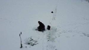 Чемпионат и первенство г. Иваново по ловле рыбы на мормышку со льда. 23.01.2022. парк Харинка.