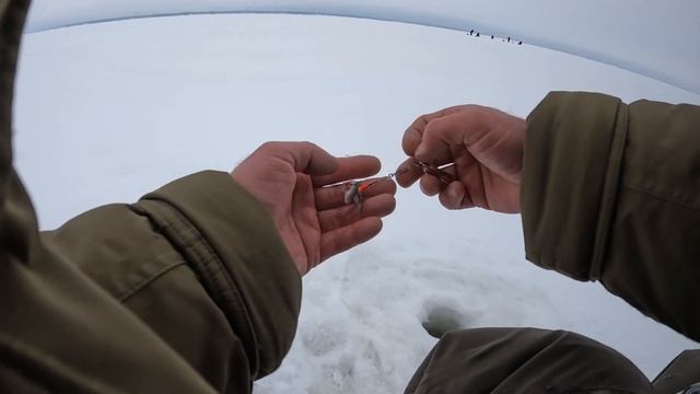 Берш в пиявках, а значит активного нет. Рыбалка февраля может быть и пустой, рыба пассивная. смотреть онлайн