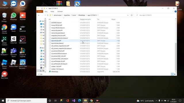 Whatsapp Web ffmpeg.dll hatası çözümü (kısa ve öz) смотреть онлайн